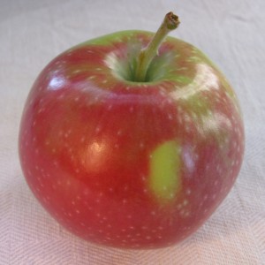 jersey mac apple